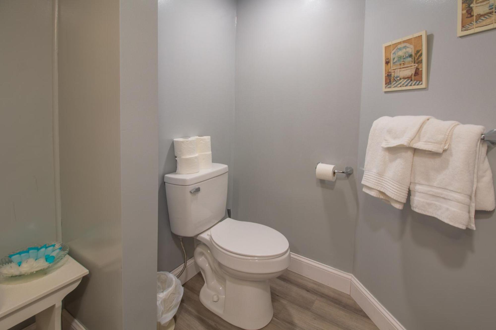 Stay In Ohiopyle In Town By The Gap Trail Εξωτερικό φωτογραφία