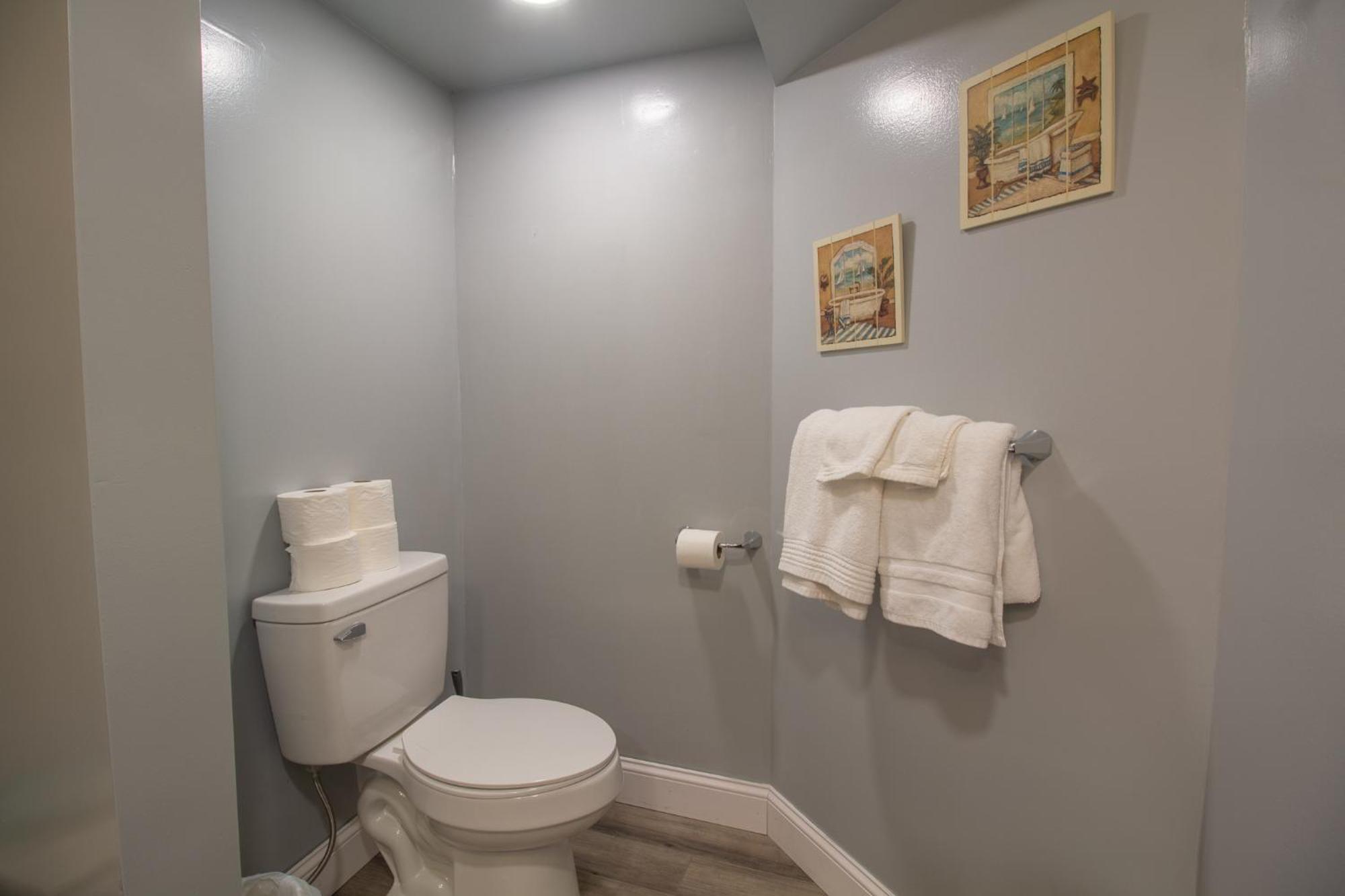 Stay In Ohiopyle In Town By The Gap Trail Εξωτερικό φωτογραφία